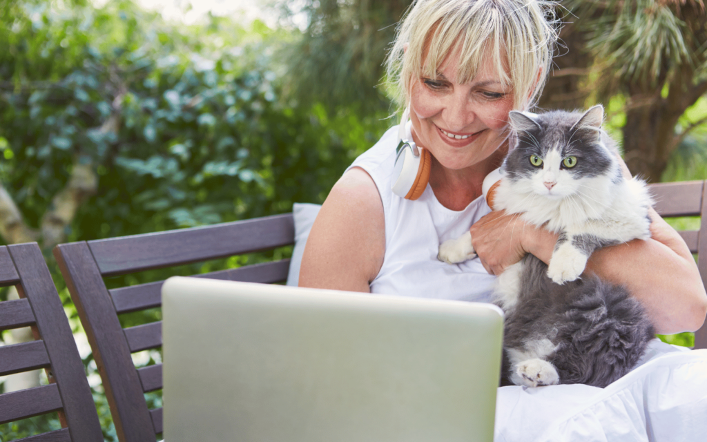 cat on a video call